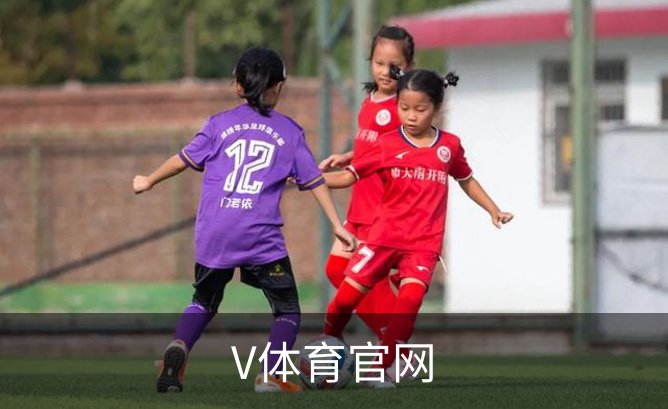 V体育官网品牌故事